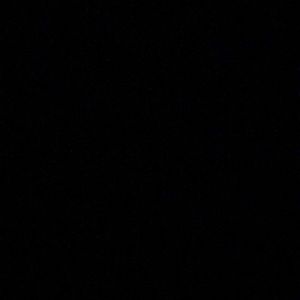 Meet your Posher, Mackenzie